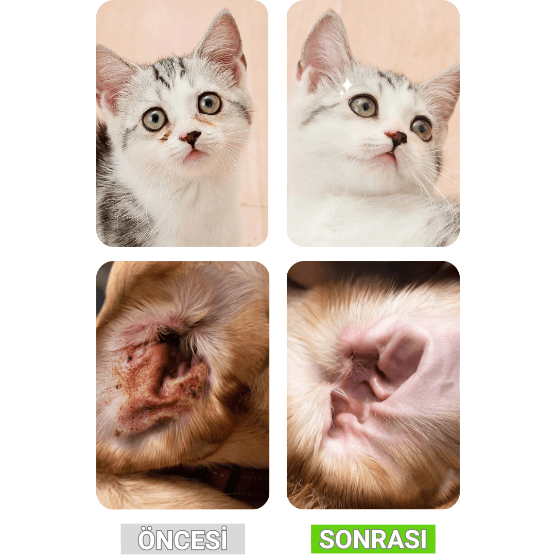 Göz Kulak Mendili | 50 Adet | Giderici Kir Temizleme | Kedi Köpek | Nano Gümüş Içermez
