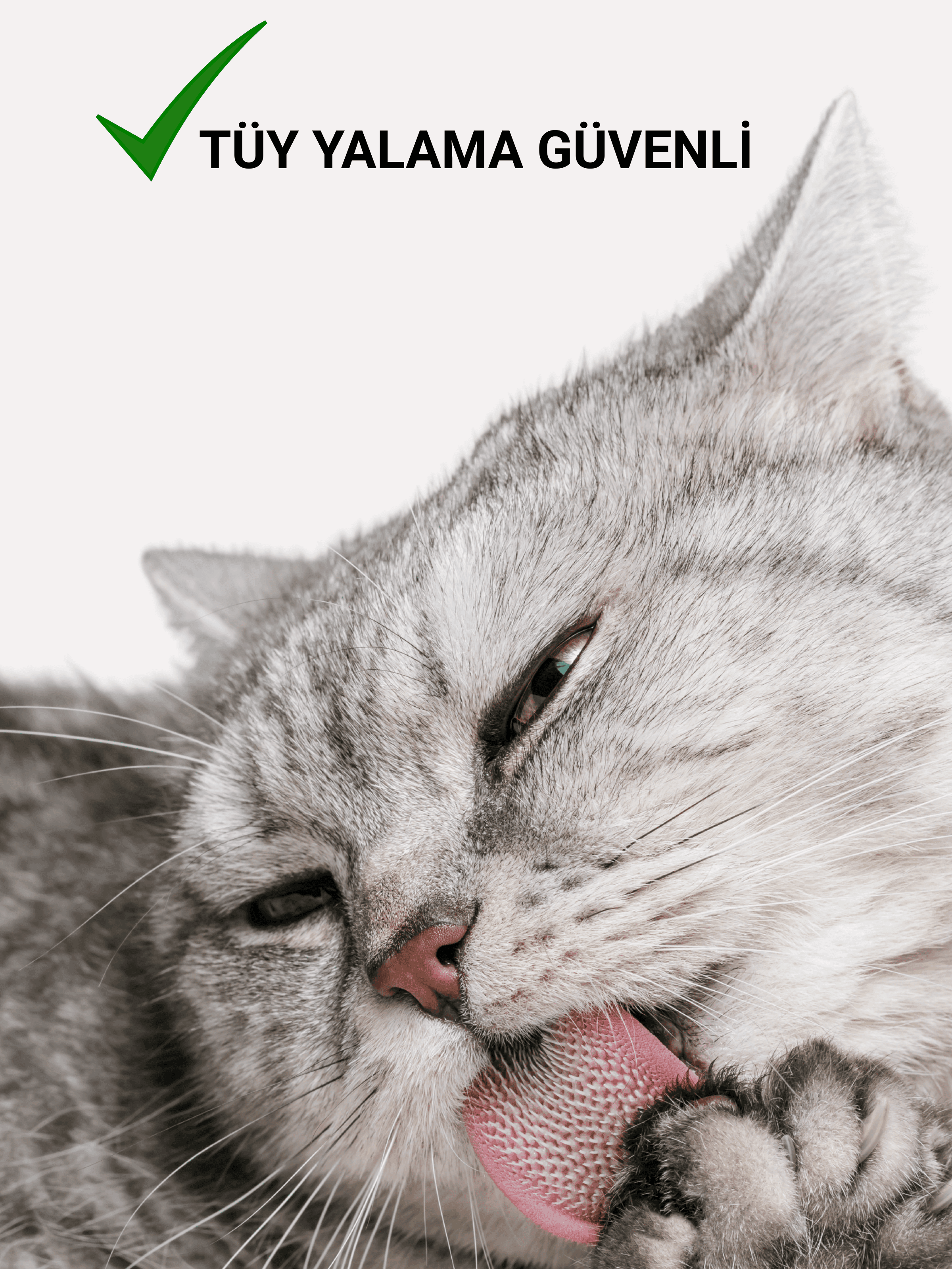 Şampuan | 400 ml | Pati Vücut | Tüy Dökme Tahriş Koku Giderici | Kedi Köpek