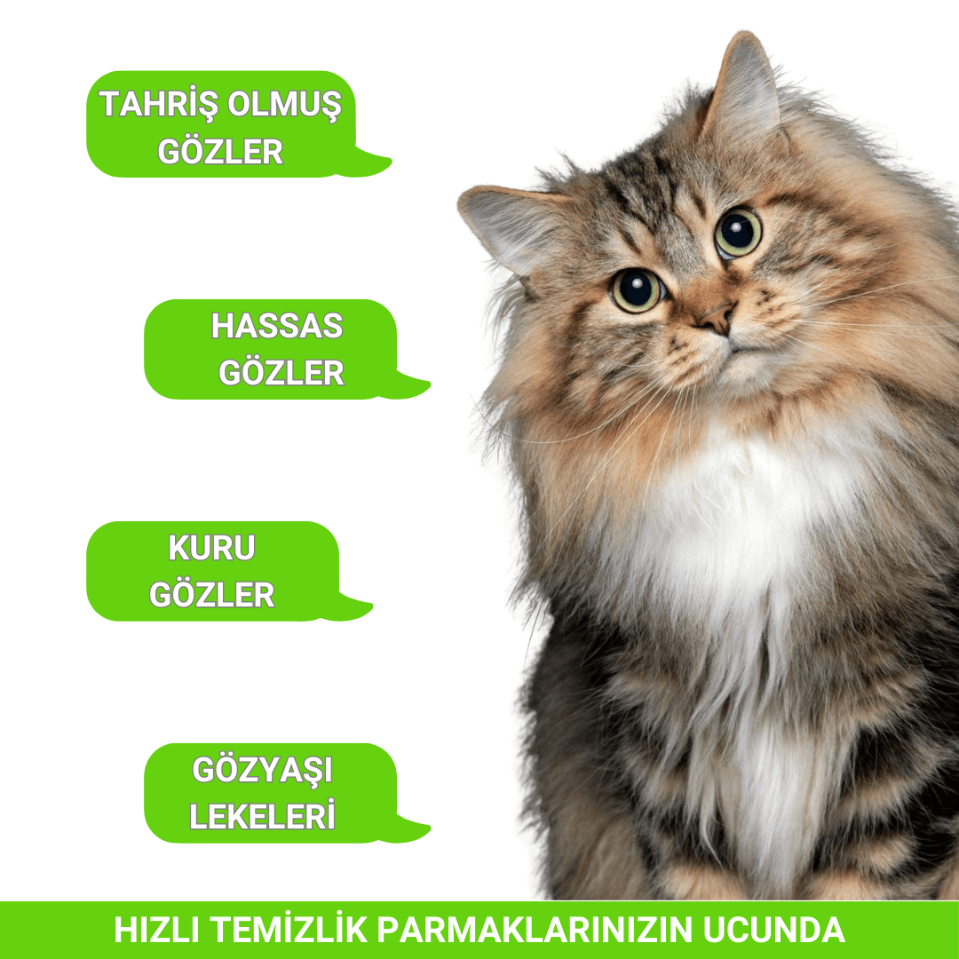 Göz Kulak Mendili | 50 Adet | Giderici Kir Temizleme | Kedi Köpek | Nano Gümüş Içermez