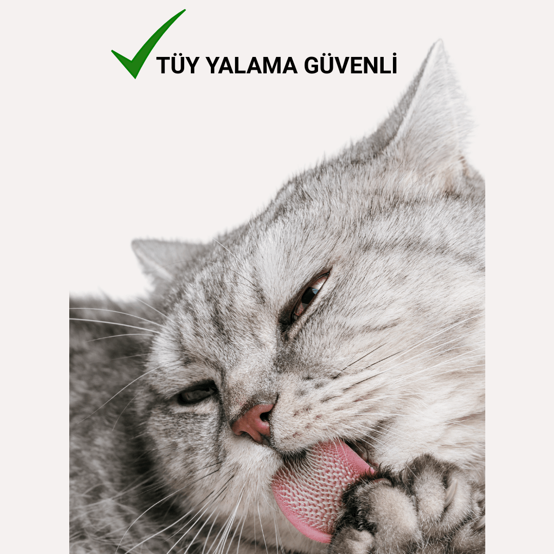 Kuru Şampuan 150 ml | Parazit Bir Pire Mantar Uzaklaştırıcı | Parfümsüz | Kedi Köpek