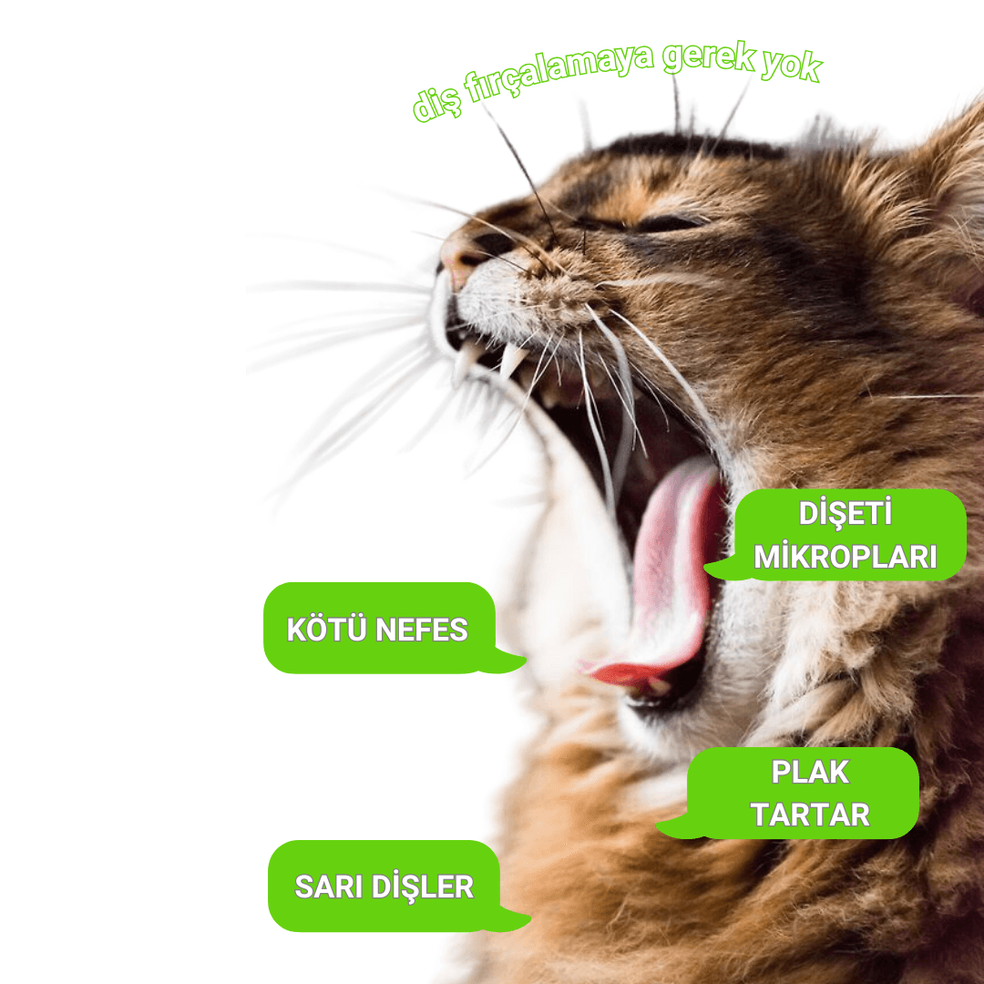 Diş Mendili | 50 Adet | Plak Tartar Ağız Kokusu Giderici | Kedi Köpek | Nano Gümüş Içermez