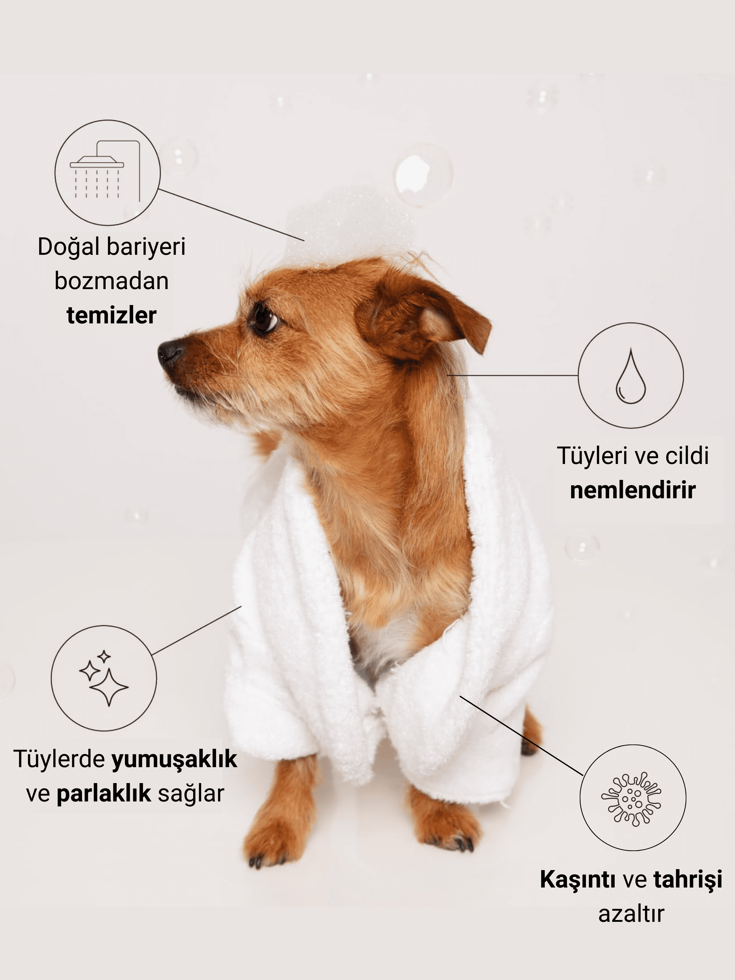 Şampuan | 400 ml | Pati Vücut | Tüy Dökme Tahriş Koku Giderici | Kedi Köpek