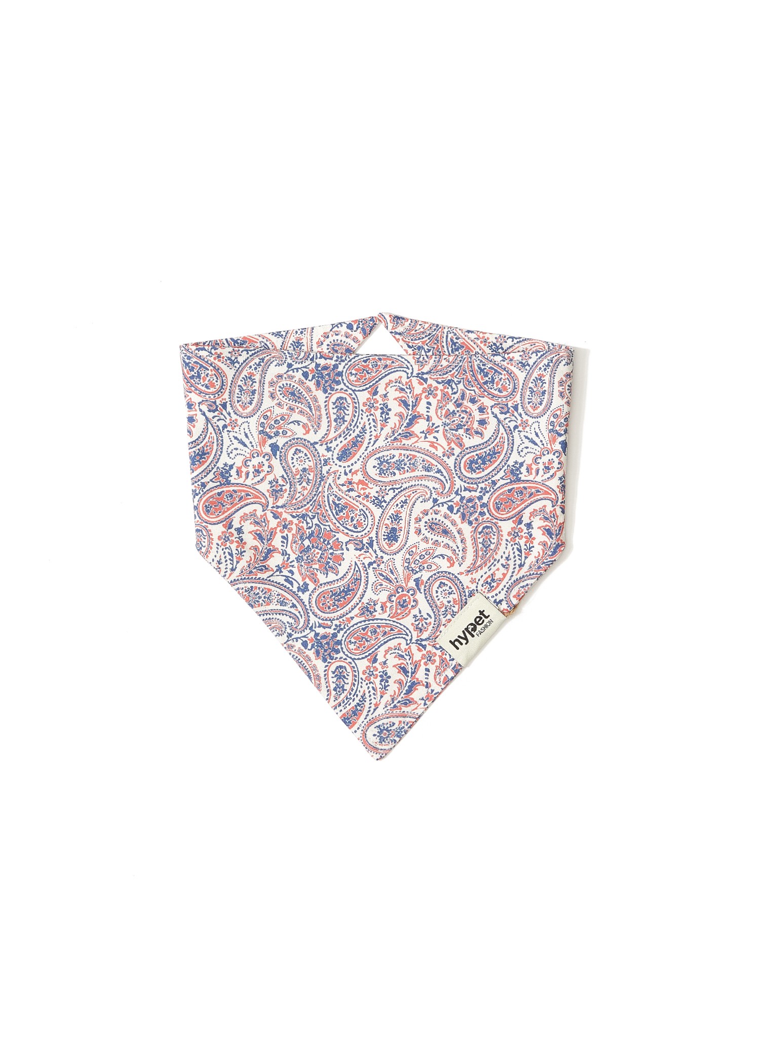 Paisley Bandana