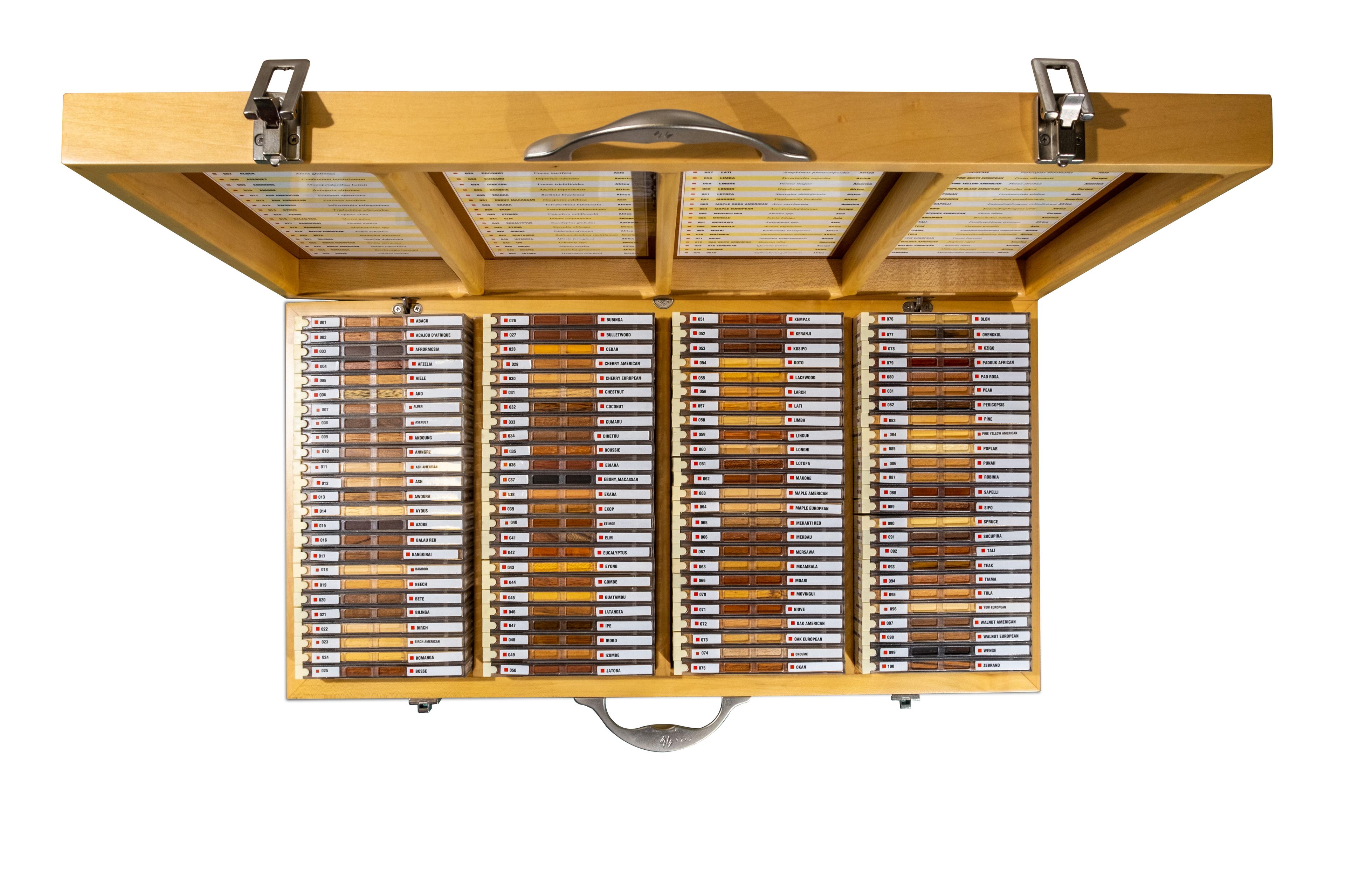 Wood Collection 100 Adet Dünya Ahşap Koleksiyonu