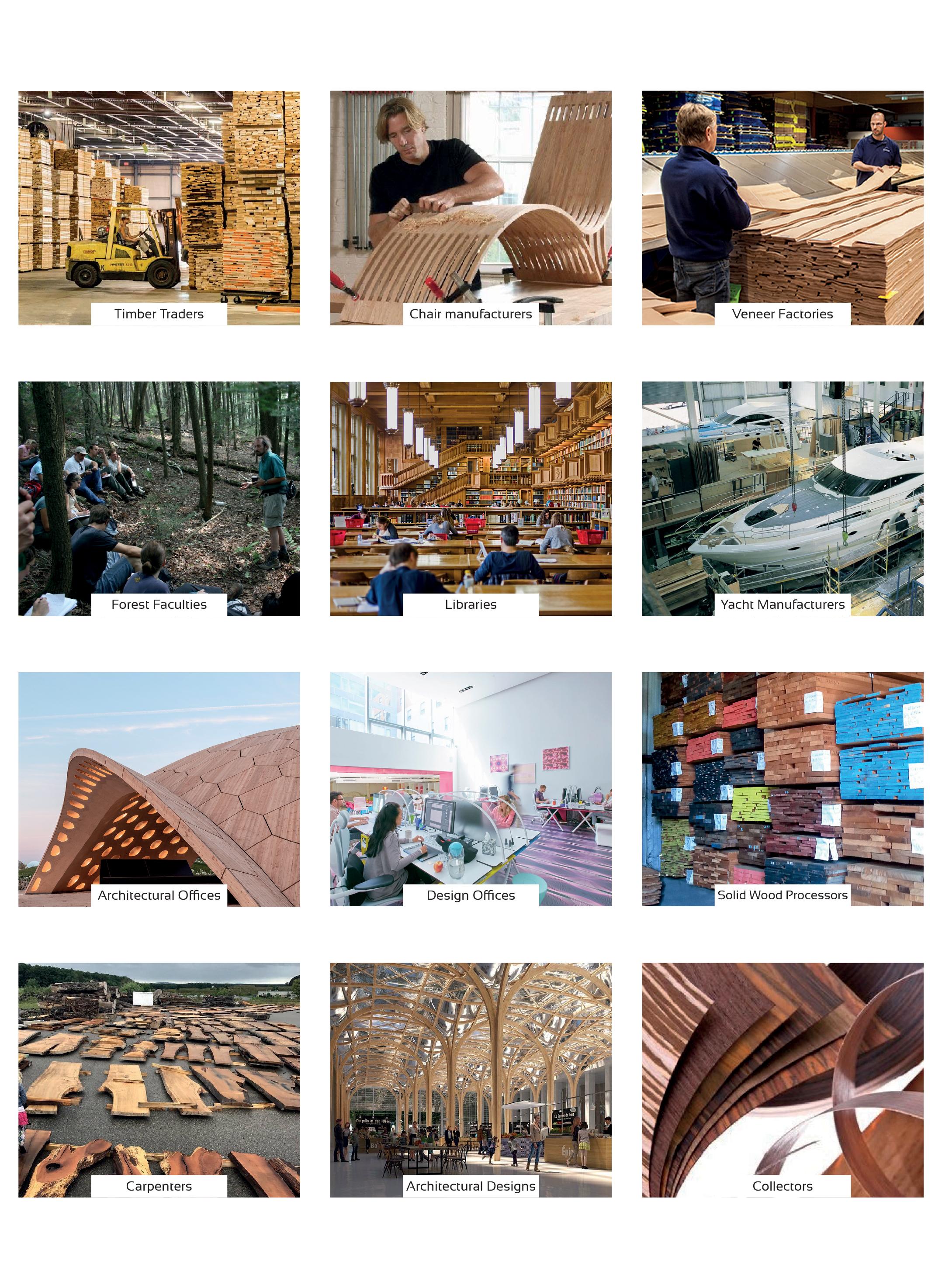 Wood Catalog - 225 Massive Wood Samples for Touch & Feel, Experience Africa, Europe, America , Asia Hardwood Creations