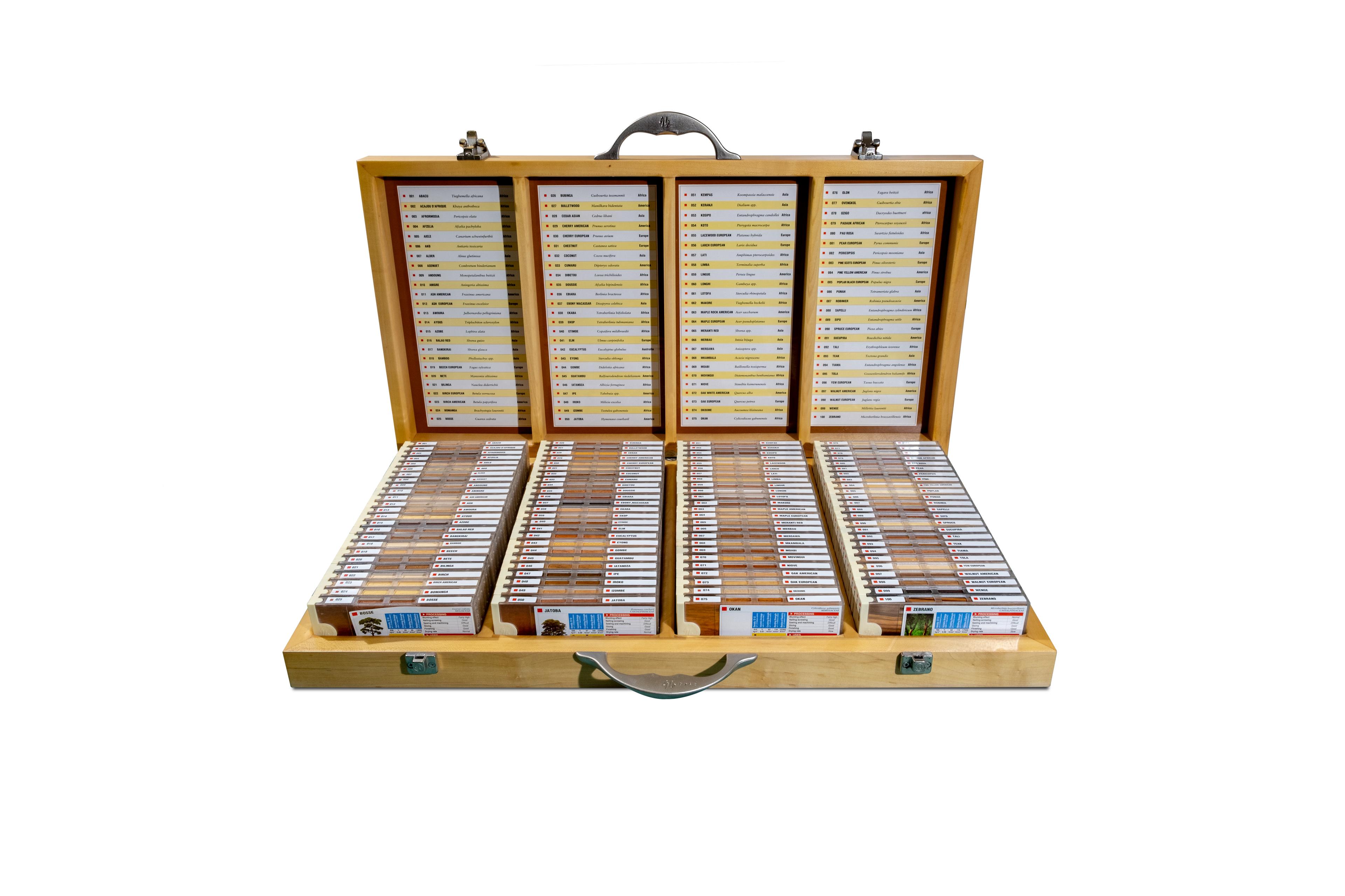 Wood Collection 100 Adet Dünya Ahşap Koleksiyonu