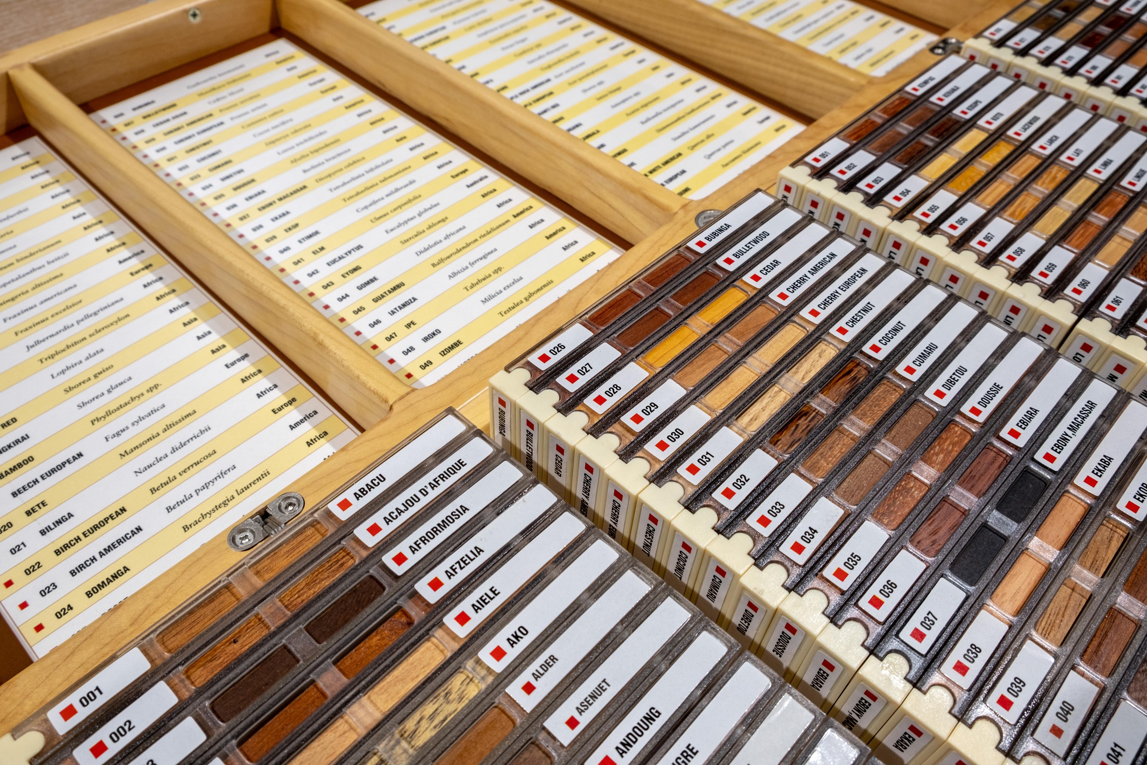 Wood Collection 100 Adet Dünya Ahşap Koleksiyonu
