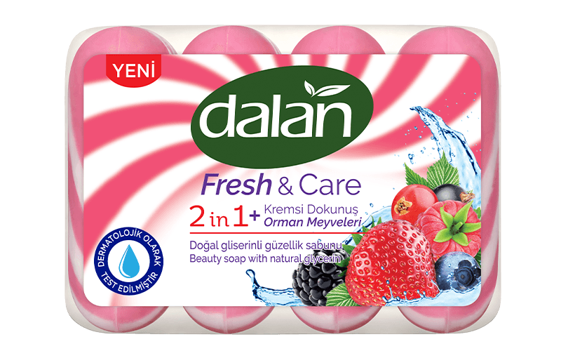 Dalan Fresh & Care Orman Meyveleri 90 gr * 4 Adet * 18 Paket