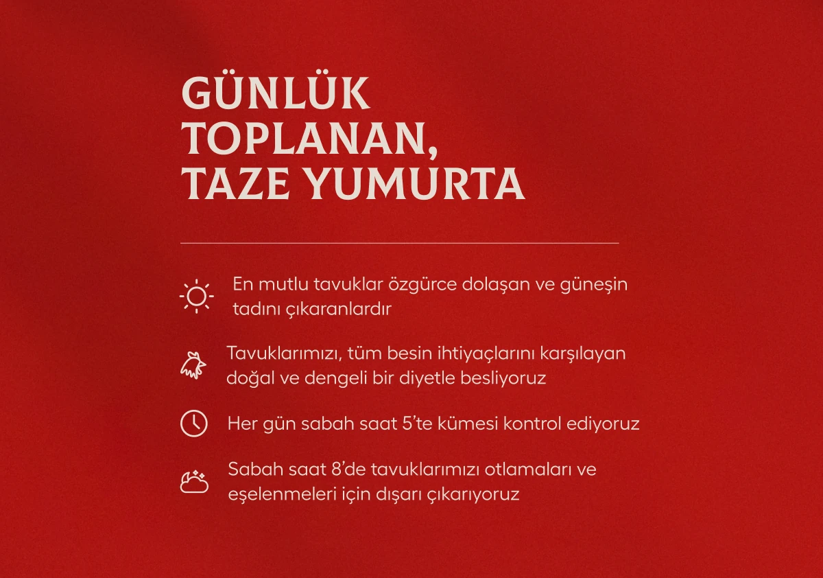 Kafessiz Doğal Köy Yumurtası 15 Adet