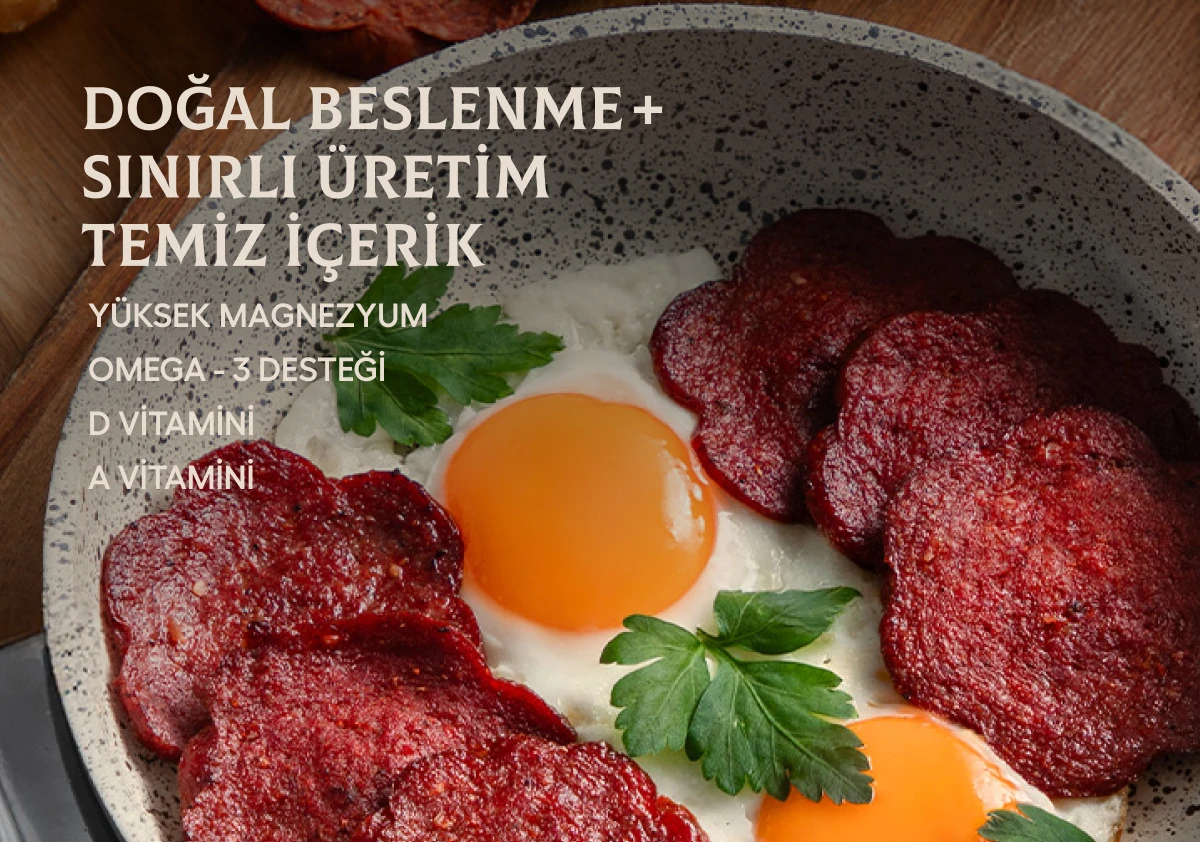 Kafessiz Doğal Köy Yumurtası 15 Adet