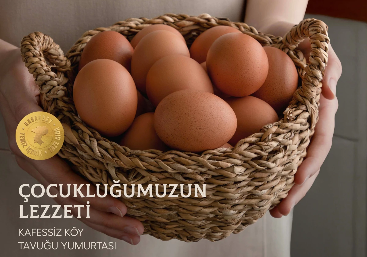 Kafessiz Doğal Köy Yumurtası 15 Adet