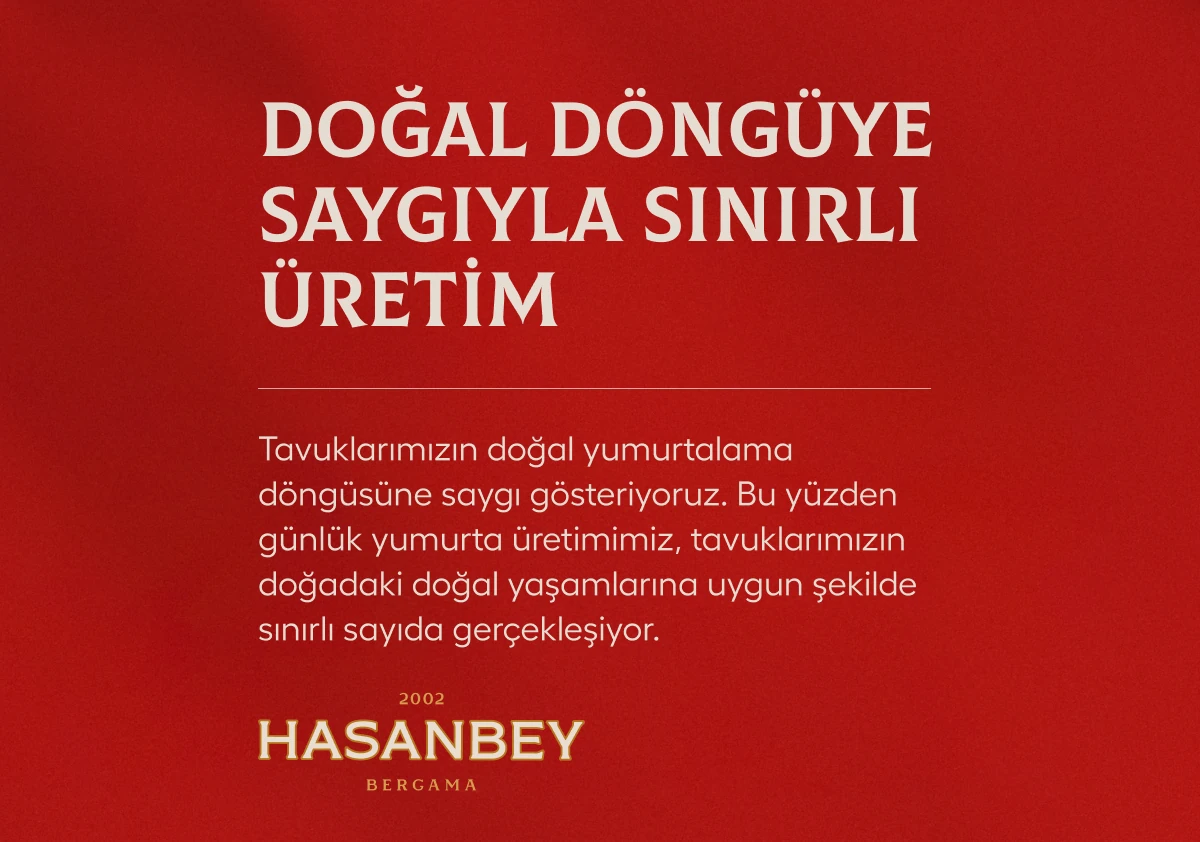 Kafessiz Doğal Köy Yumurtası 15 Adet