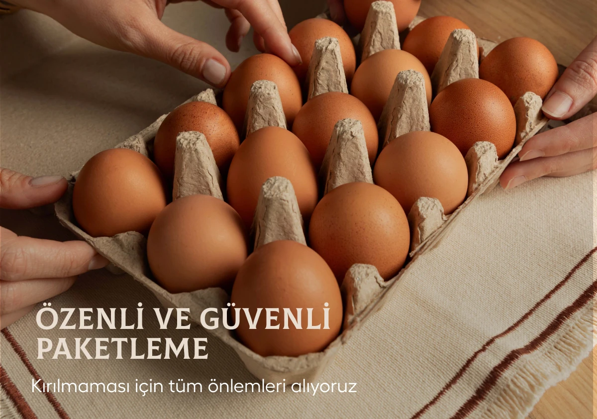Kafessiz Doğal Köy Yumurtası 15 Adet