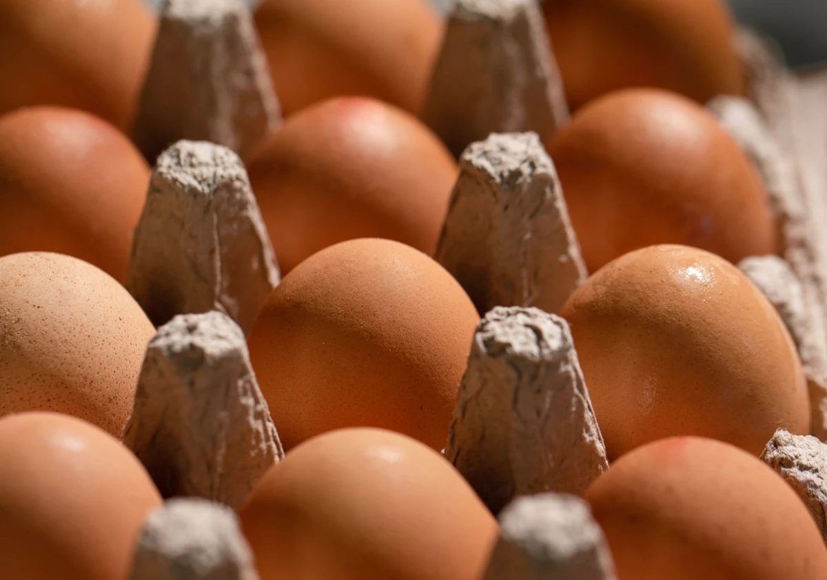 Kafessiz Doğal Köy Yumurtası 15 Adet