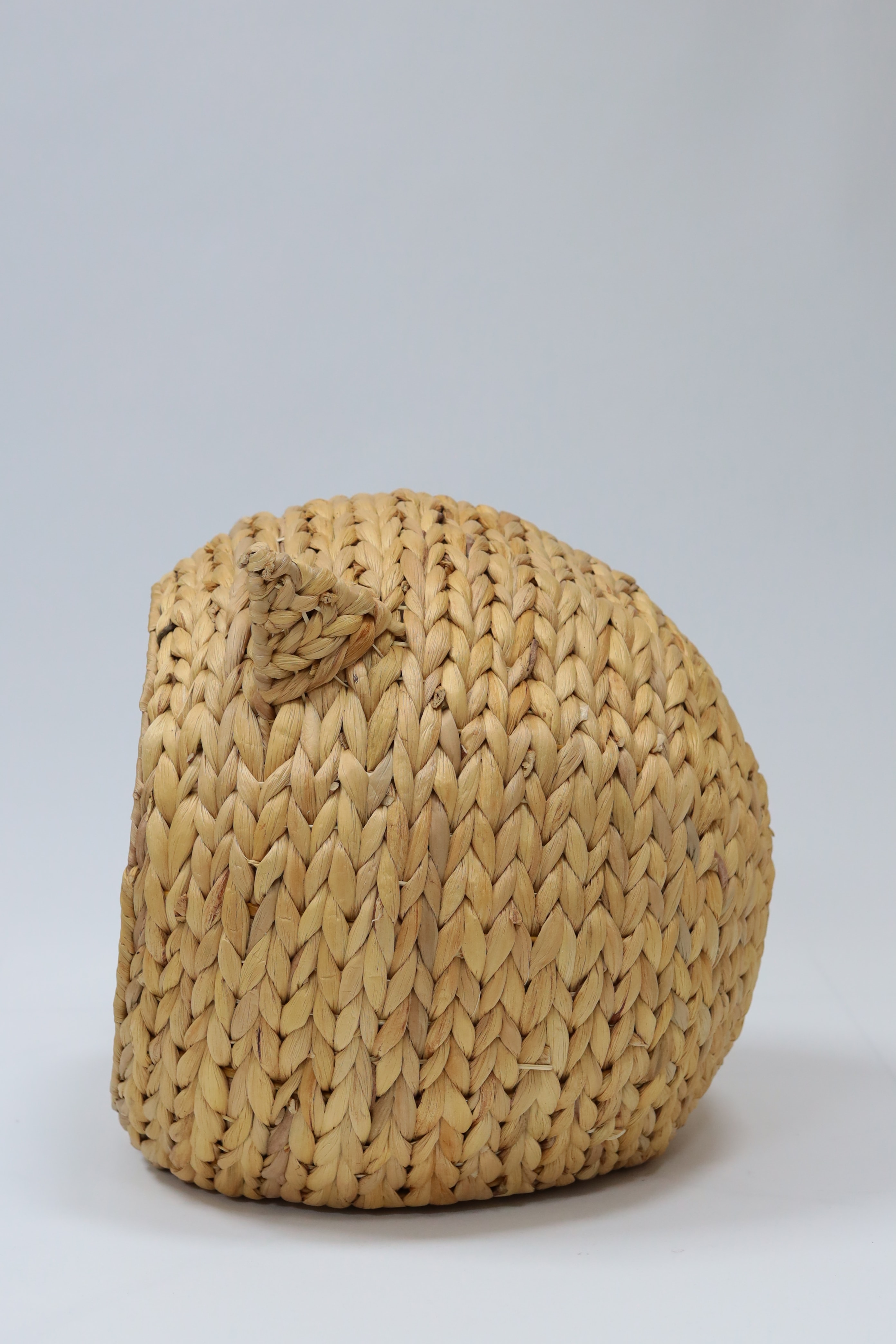Bohem Su Sümbülü Büyük Kedi Evi Iskandinav, Modern, Rattan