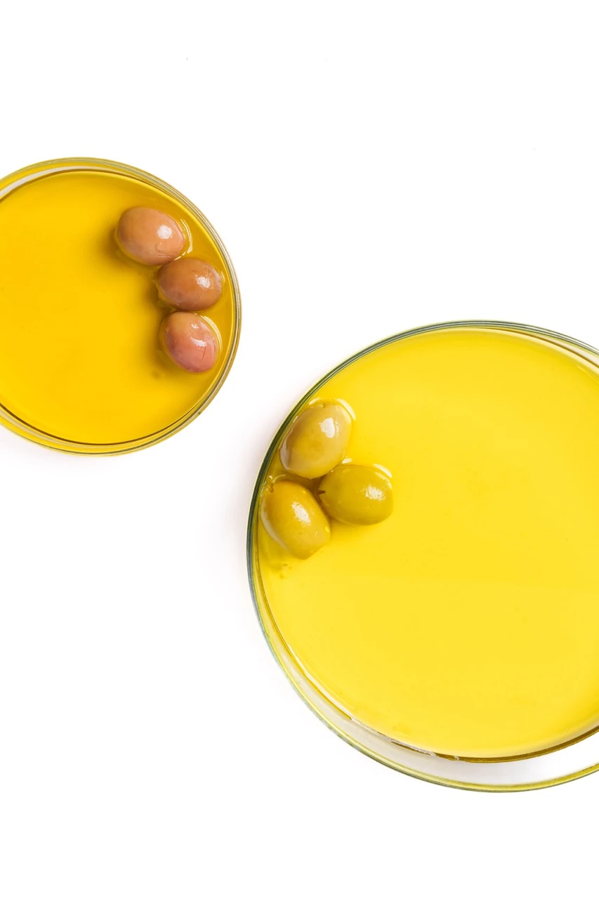 4'lü YEMEKLİK & SON DOKUNUŞ BUNDLE