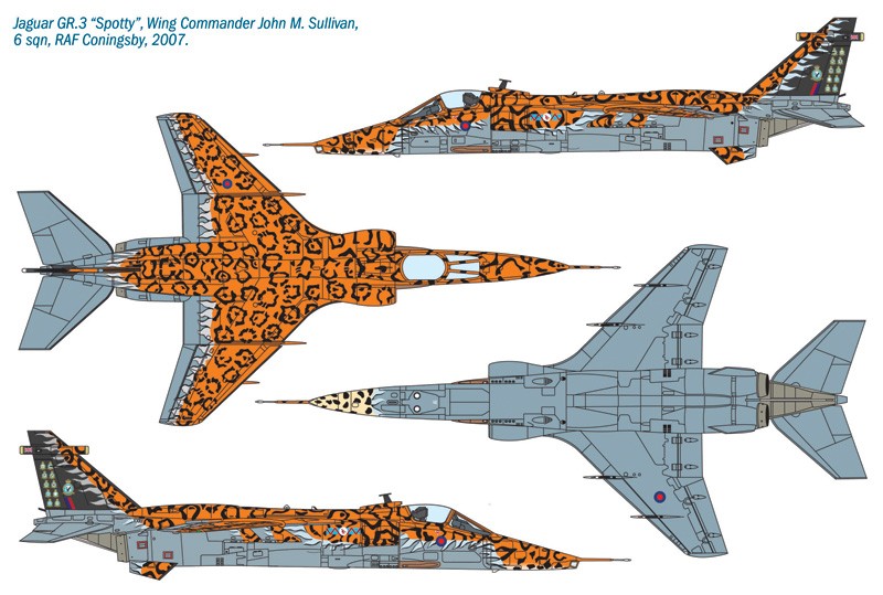 ITALERI 1357 1/72 JAGUAR Gr.3 "BIG CAT" Special Colors SAVAŞ UÇAĞI MAKETİ