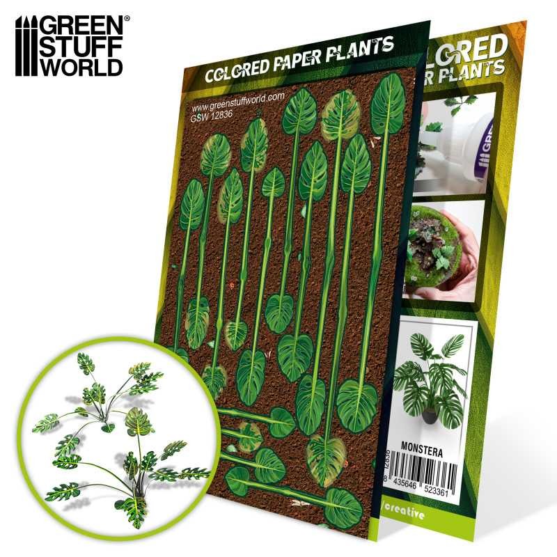 GREEN STUFF WORLD 12836 Colored Paper Plants Monstera - RENKLENDİRİLMİŞ KAĞIT BİTKİLER DEVE TABANI