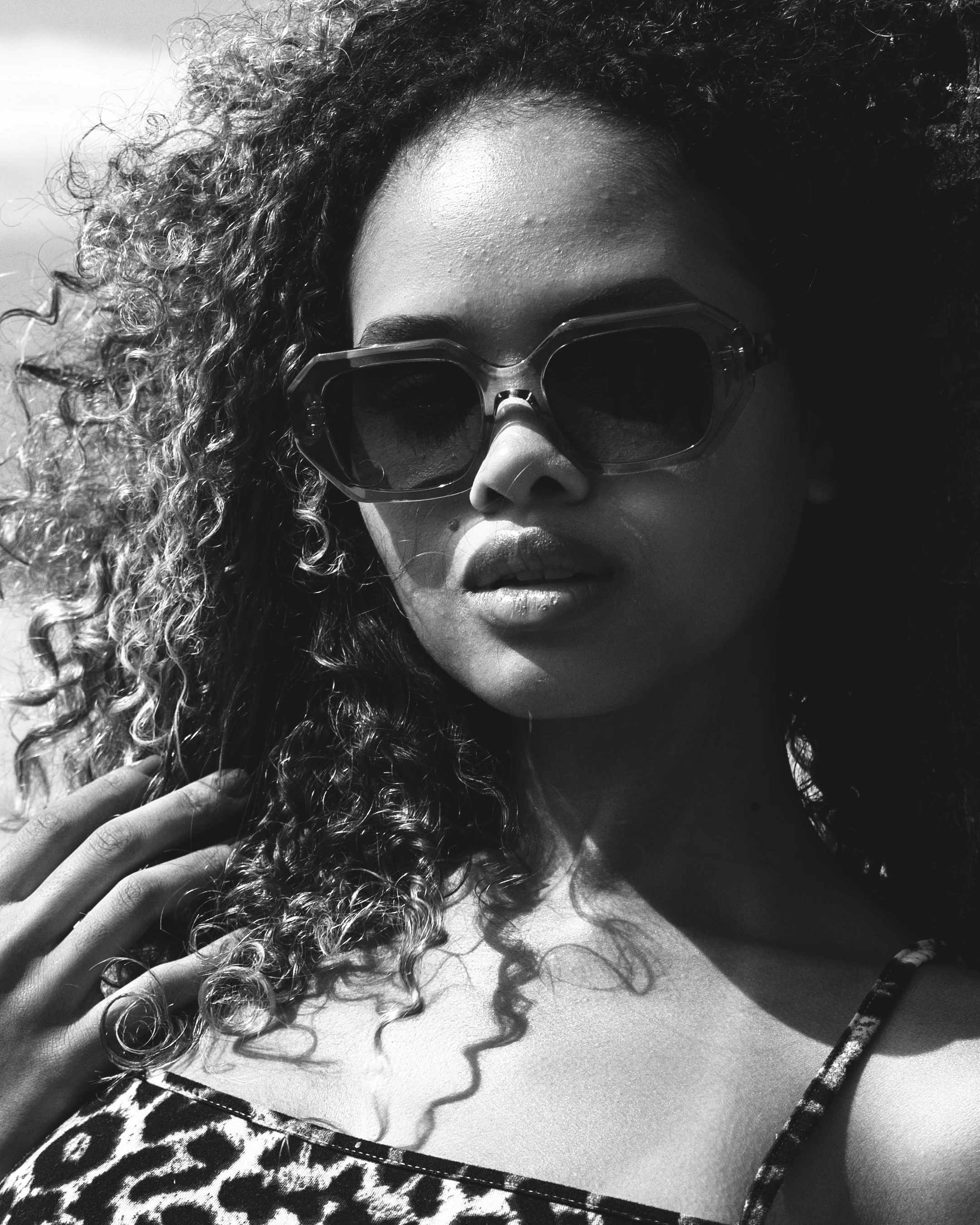 Salvia Aspen Flowers