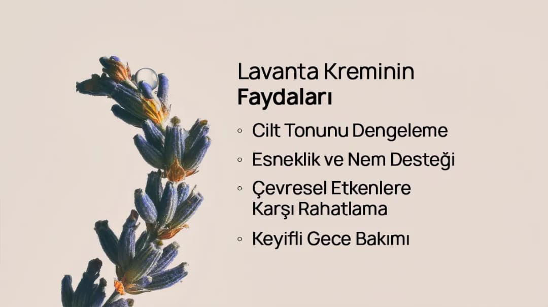 lavanta kremi faydaları - Luxun