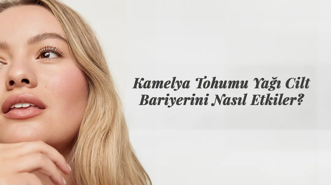 Kamelya Tohumu Yağı Cilt Bariyerini Nasıl Etkiler?