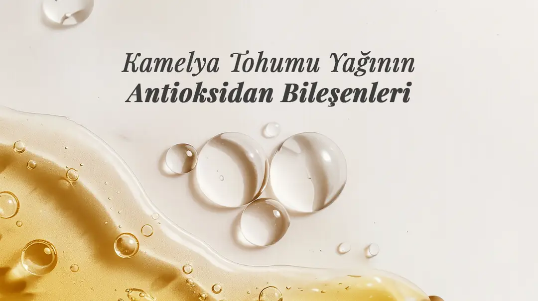 Kamelya Tohumu Yağının Antioksidan Bileşenleri