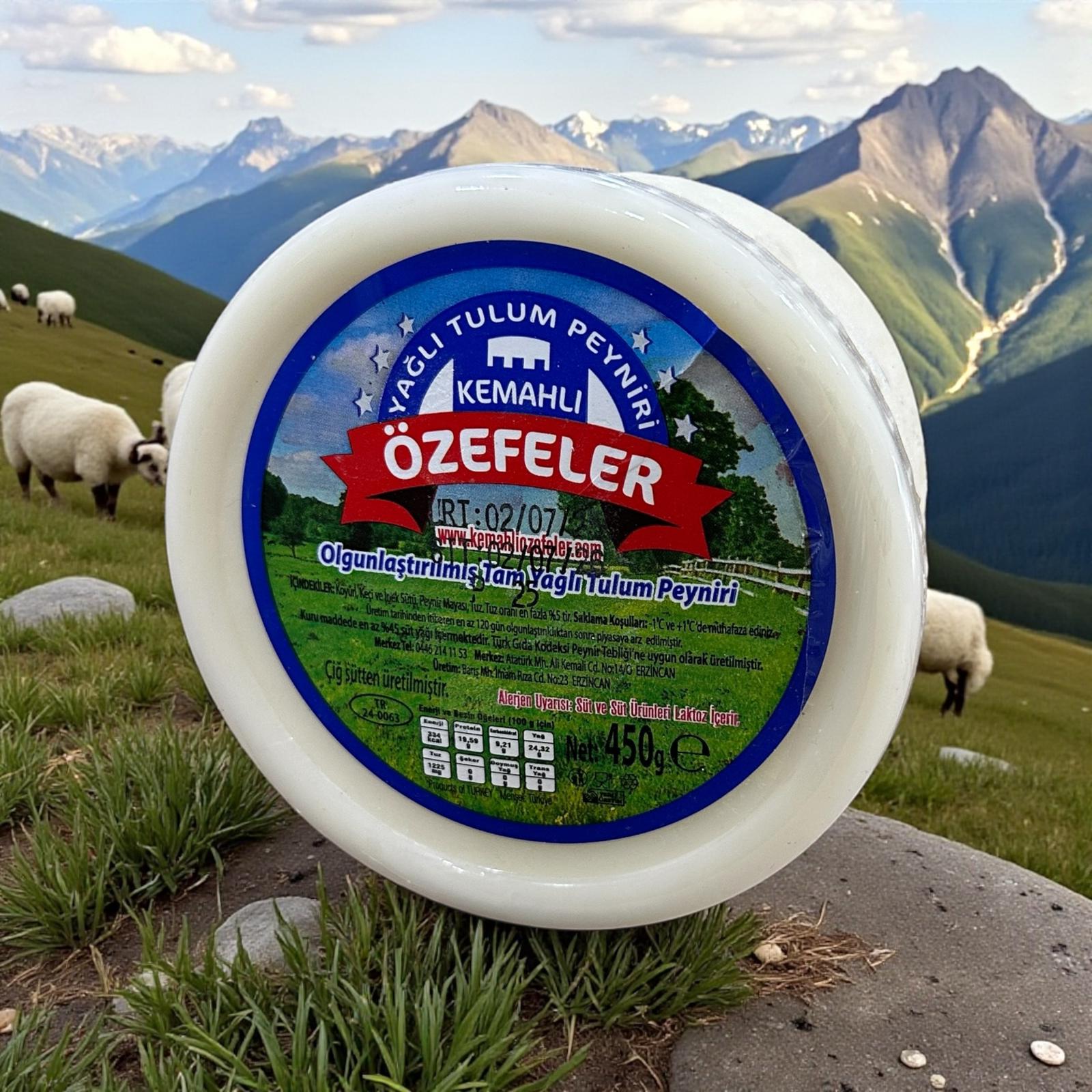 Erzincan Can Tulum Cheese 450 gr