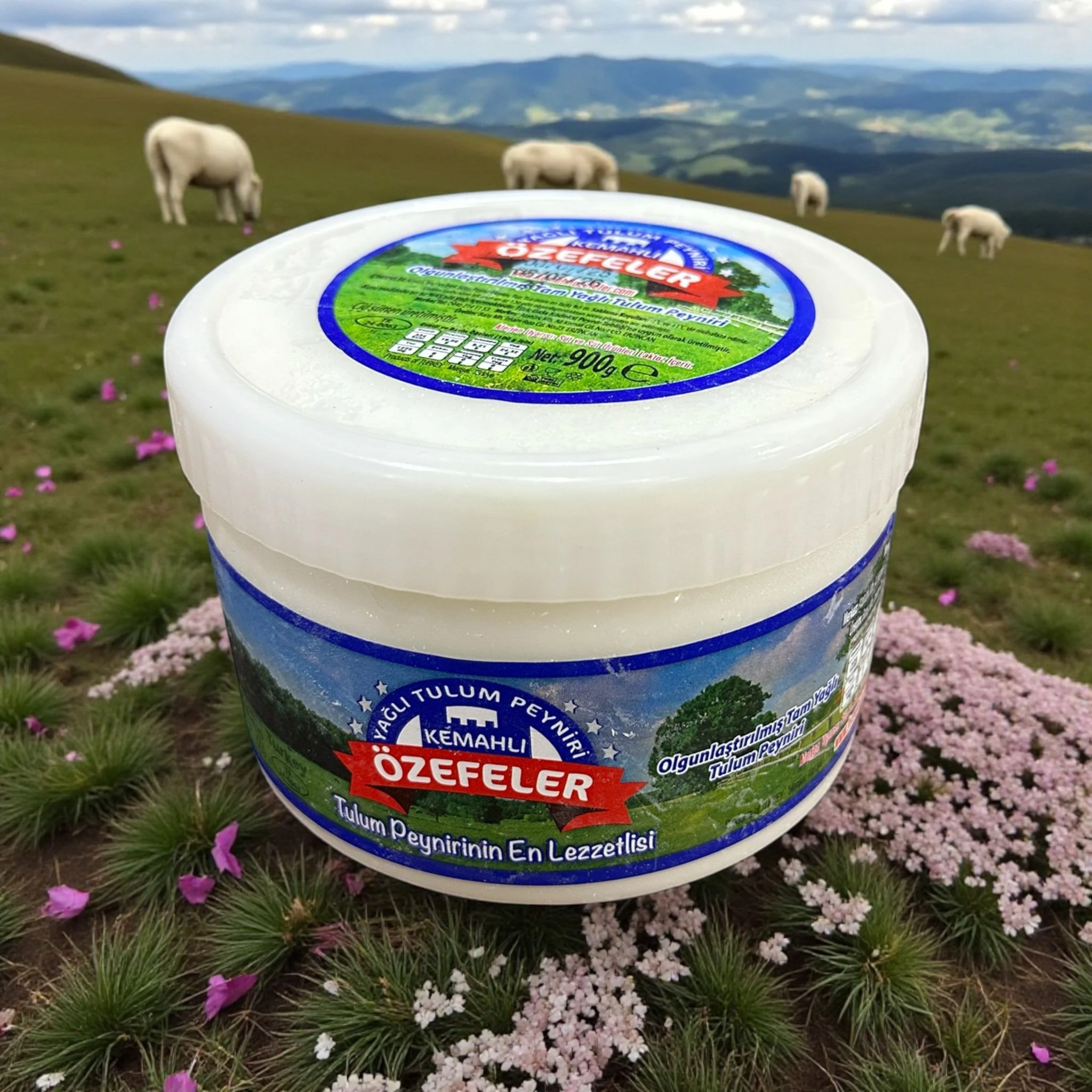 Erzincan Bidon Tulum Peyniri 900gr