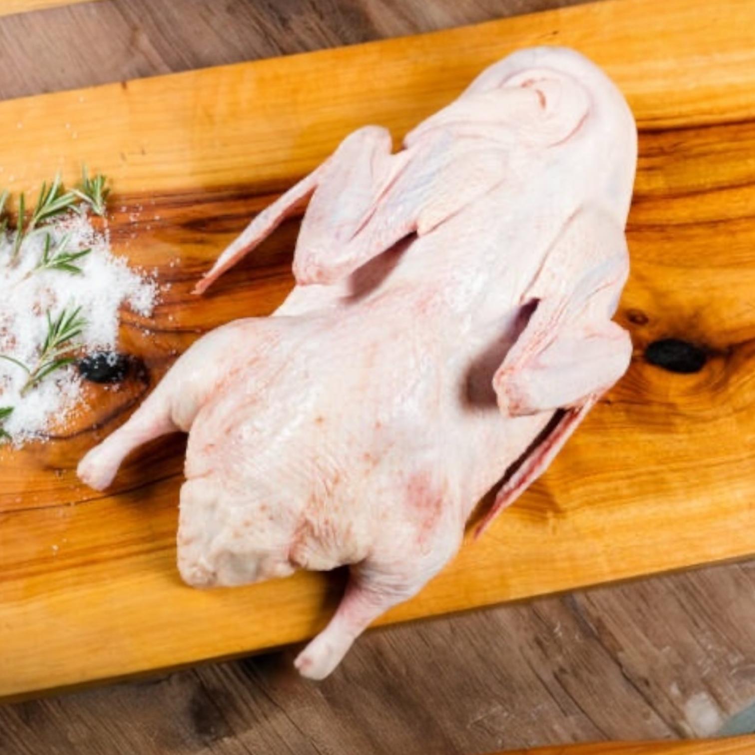 Pekin Ördeği 2.1-2.3 kg