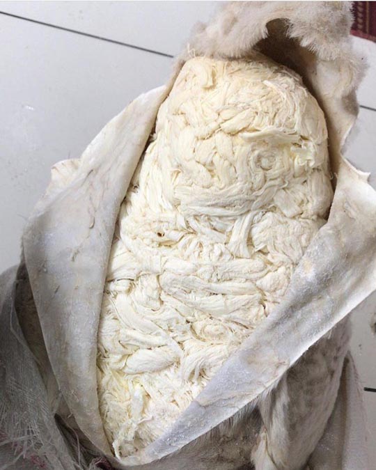 Kars Tuluk Peyniri 1 Kg