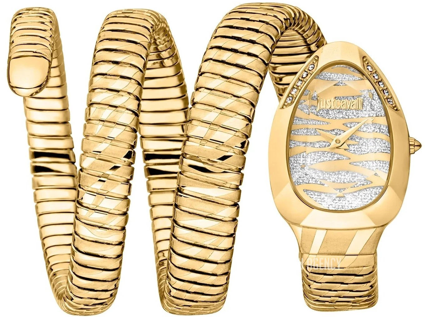 Just Cavalli JC1L226M0025 Kadın Kol Saati