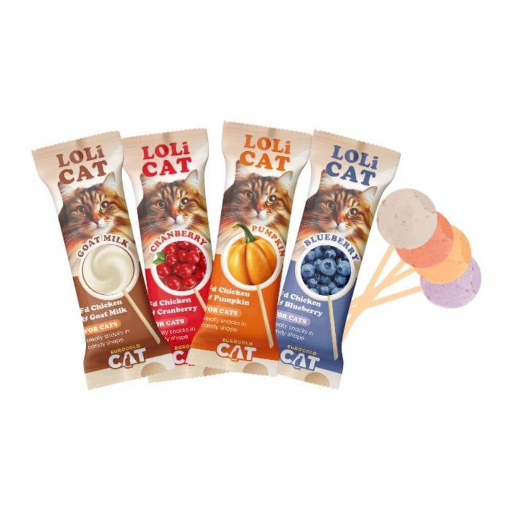 EuroGold Cat LoliCat Kedi Lolipopu Seti Karışık 4'lü (%15 EKSTRA İNDİRİMLİ)