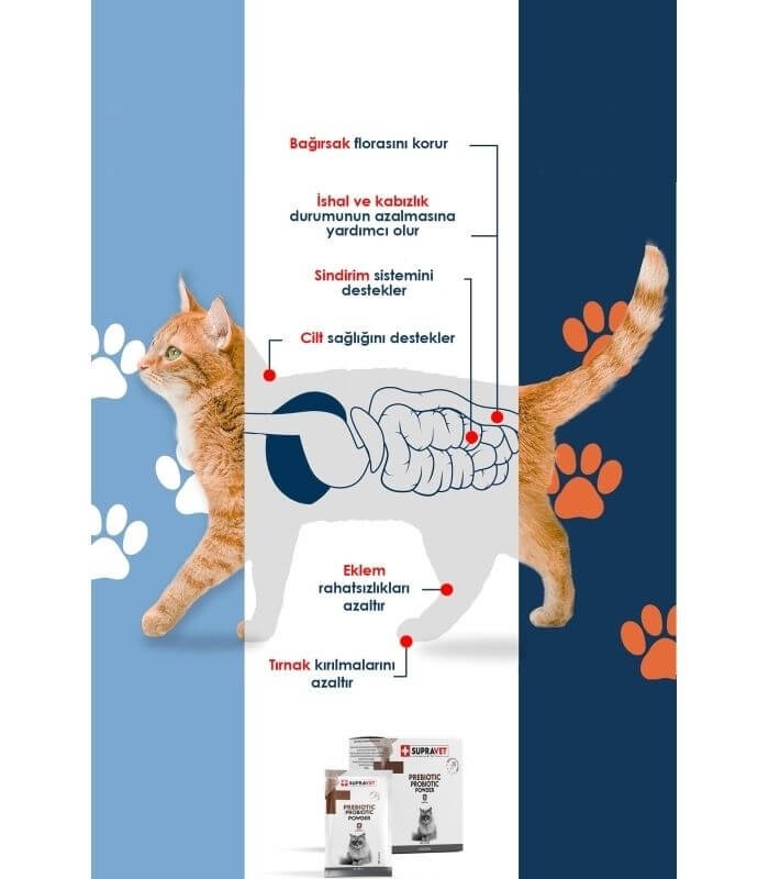 Supravet Toz Probiyotik + Prebiyotik Kedi Bağışıklık Sistemi Güçlendirici 10 ADET X 1.5gr