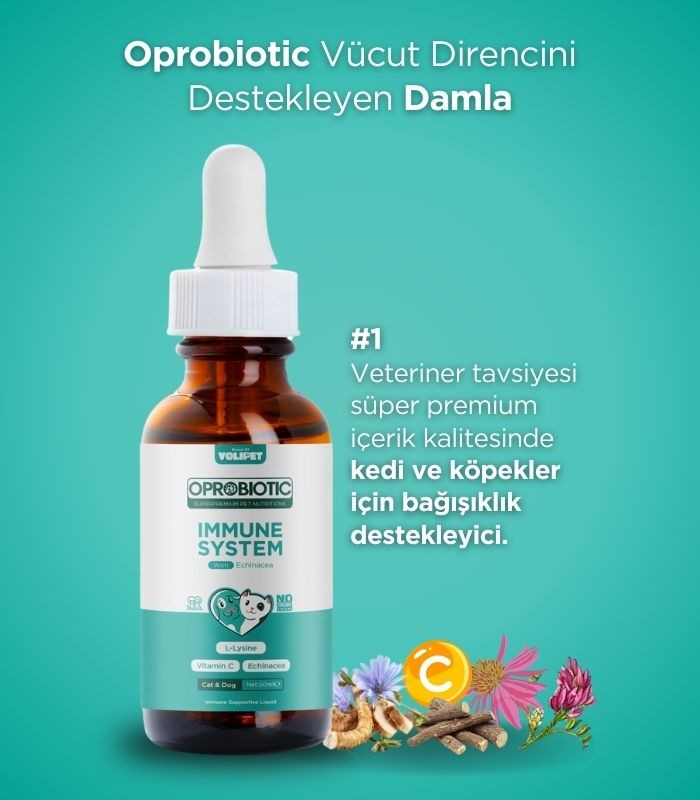 Oprobiotic Kedi ve Köpekler İçin Immune System Bağışıklık Damlası 50ml (KEDİ KÖPEK BAĞIŞIKLIK DESTEKLEYİCİ)