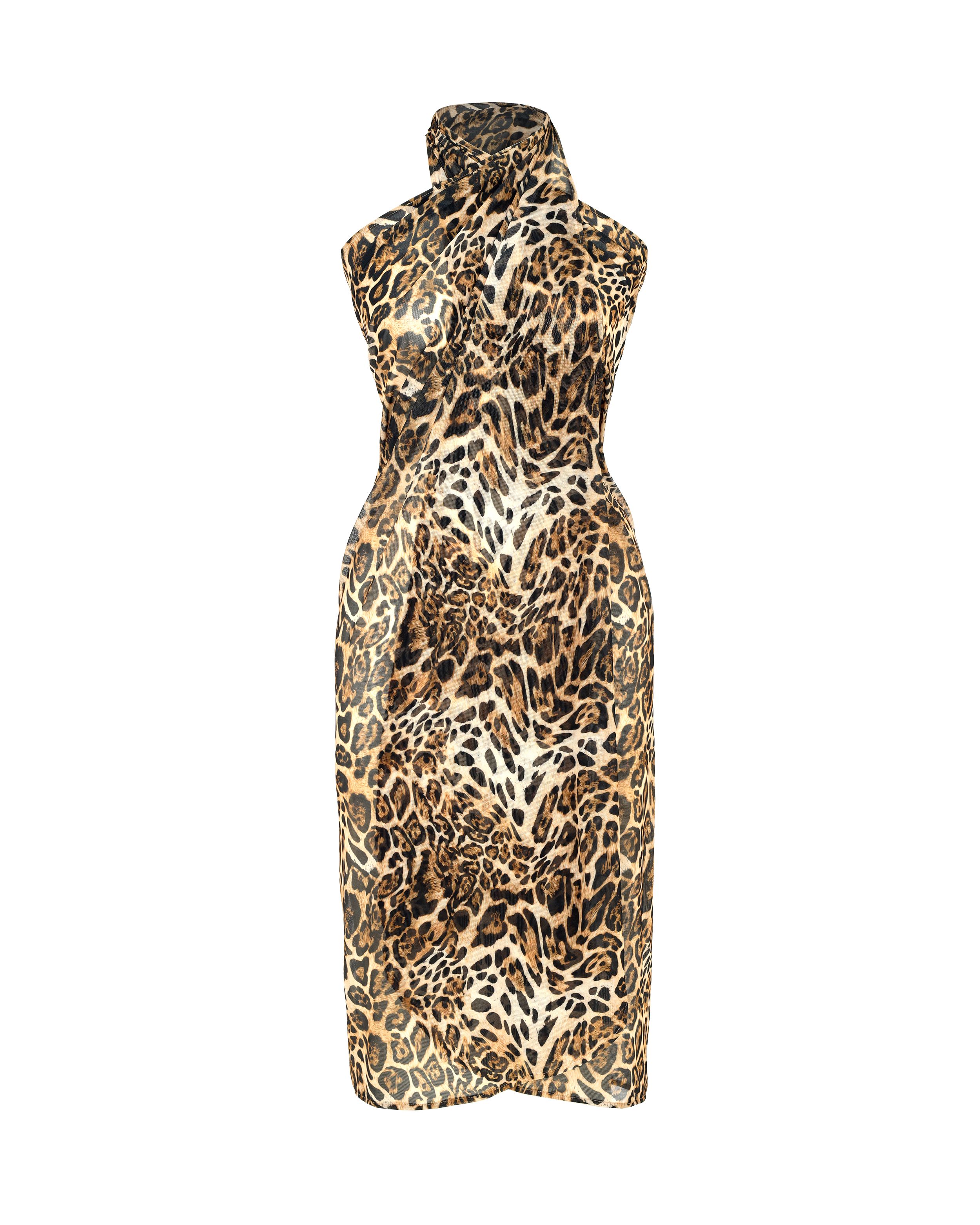 Leopar thumbnail image