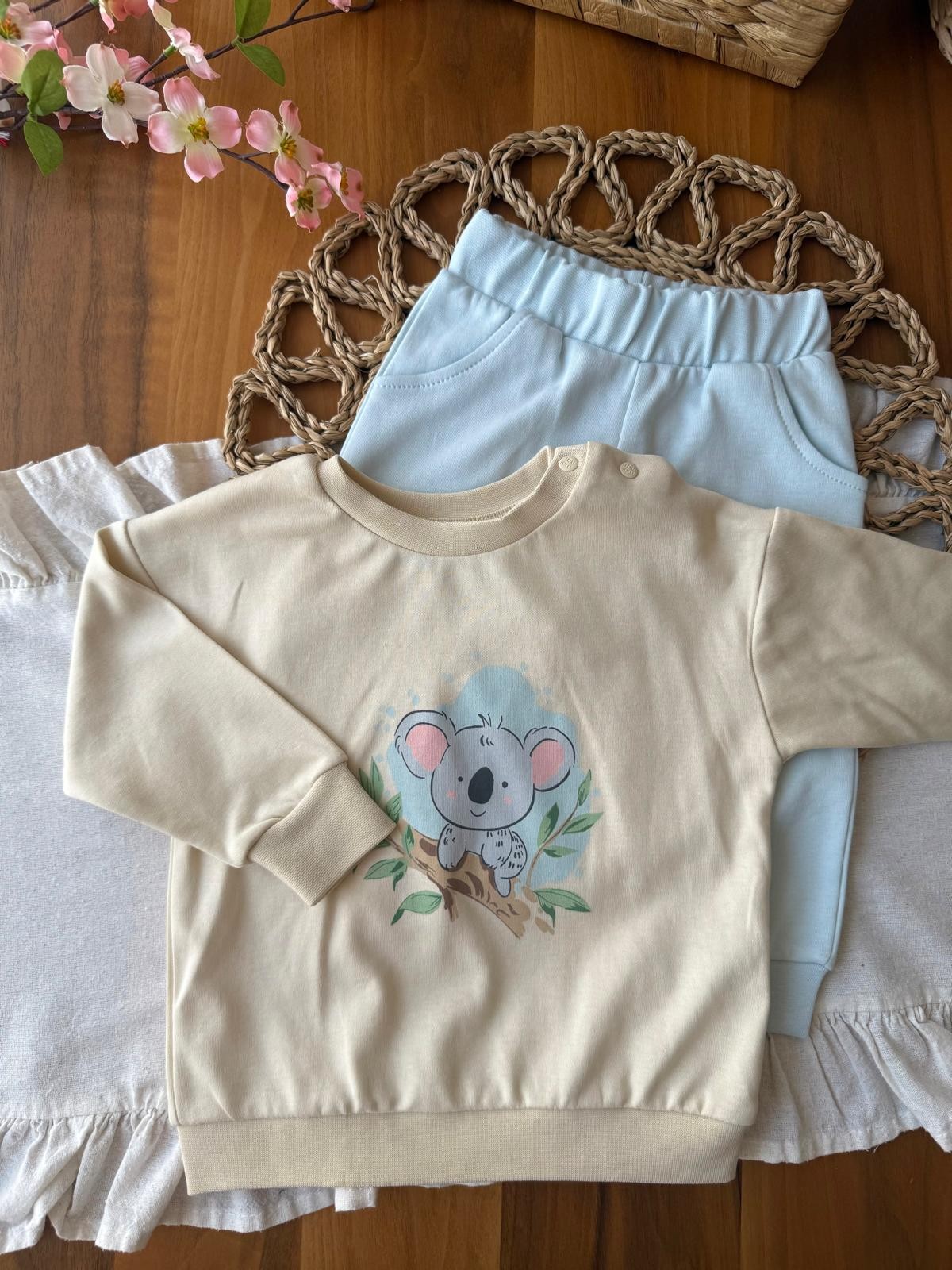 Erkek Bebek Organik Koala 2'li Takım