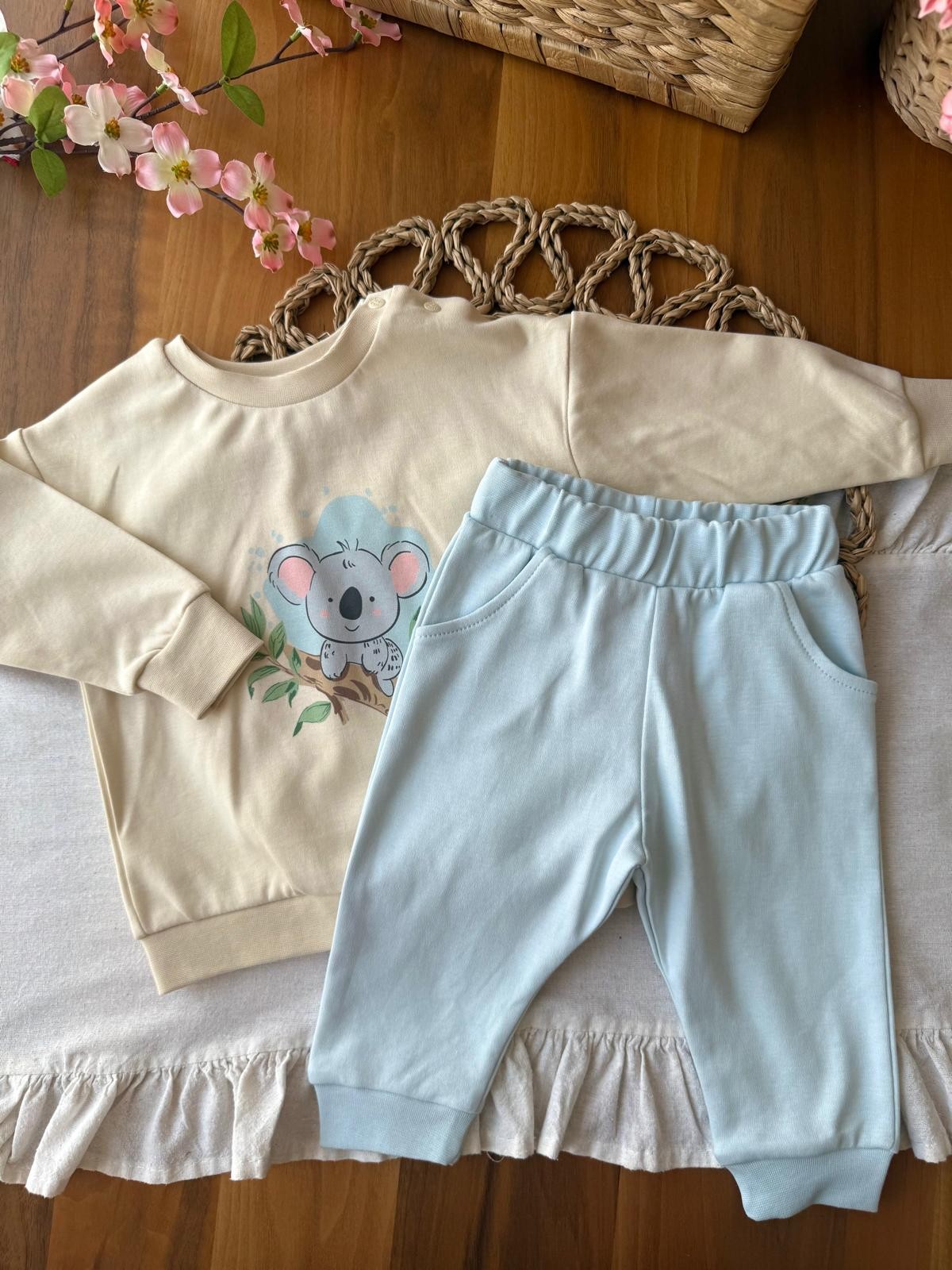 Erkek Bebek Organik Koala 2'li Takım