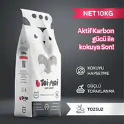Toi