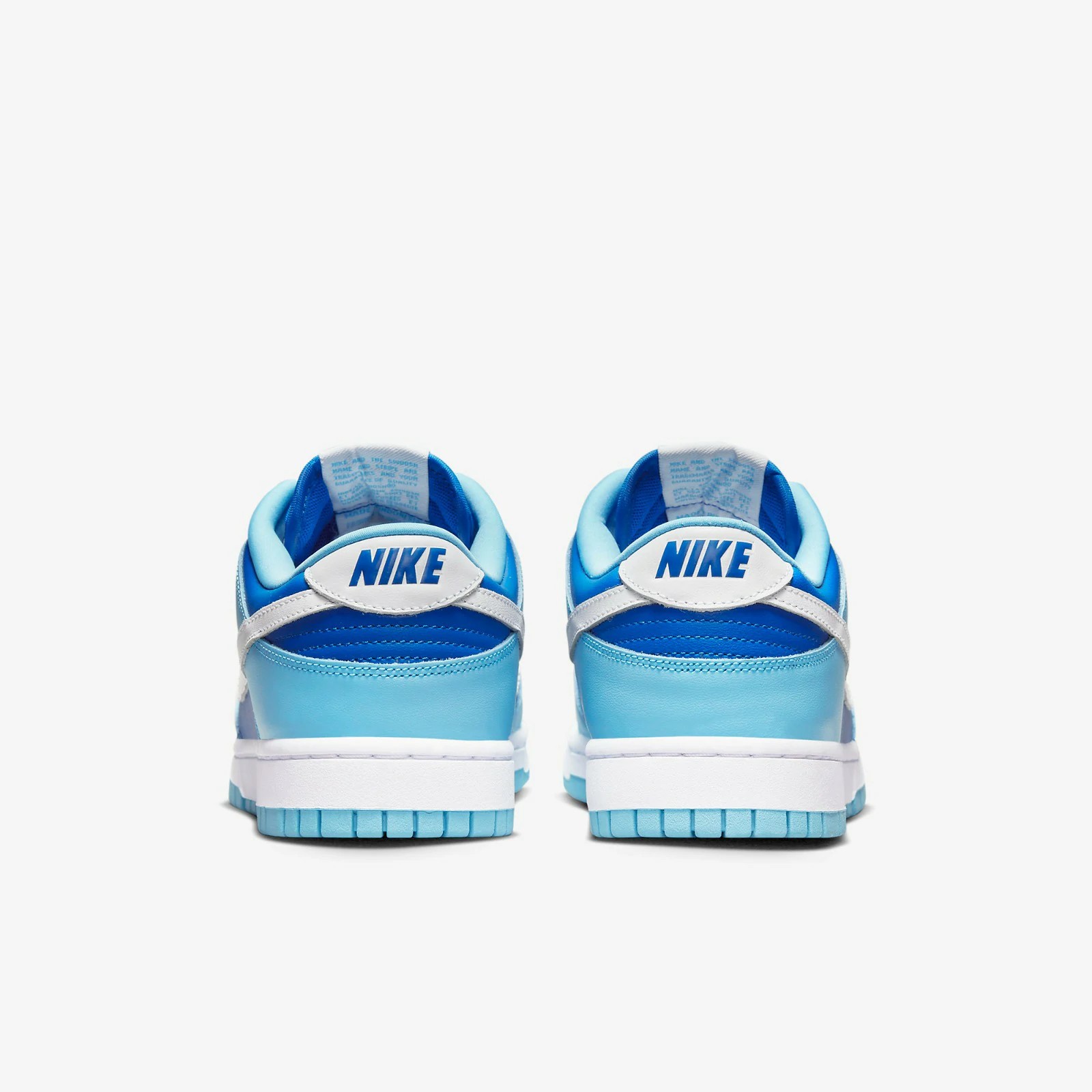 Nike Dunk Low Argon