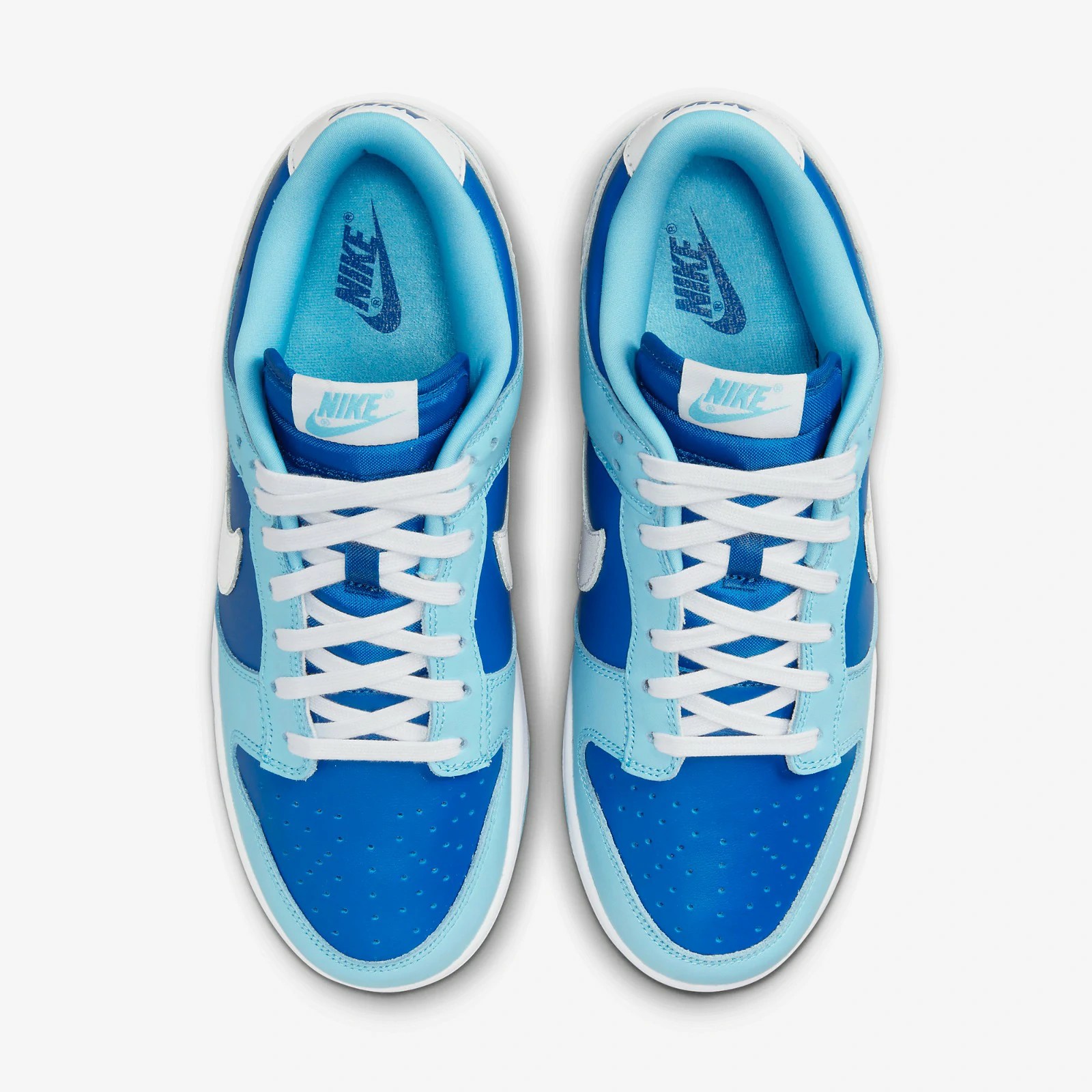 Nike Dunk Low Argon