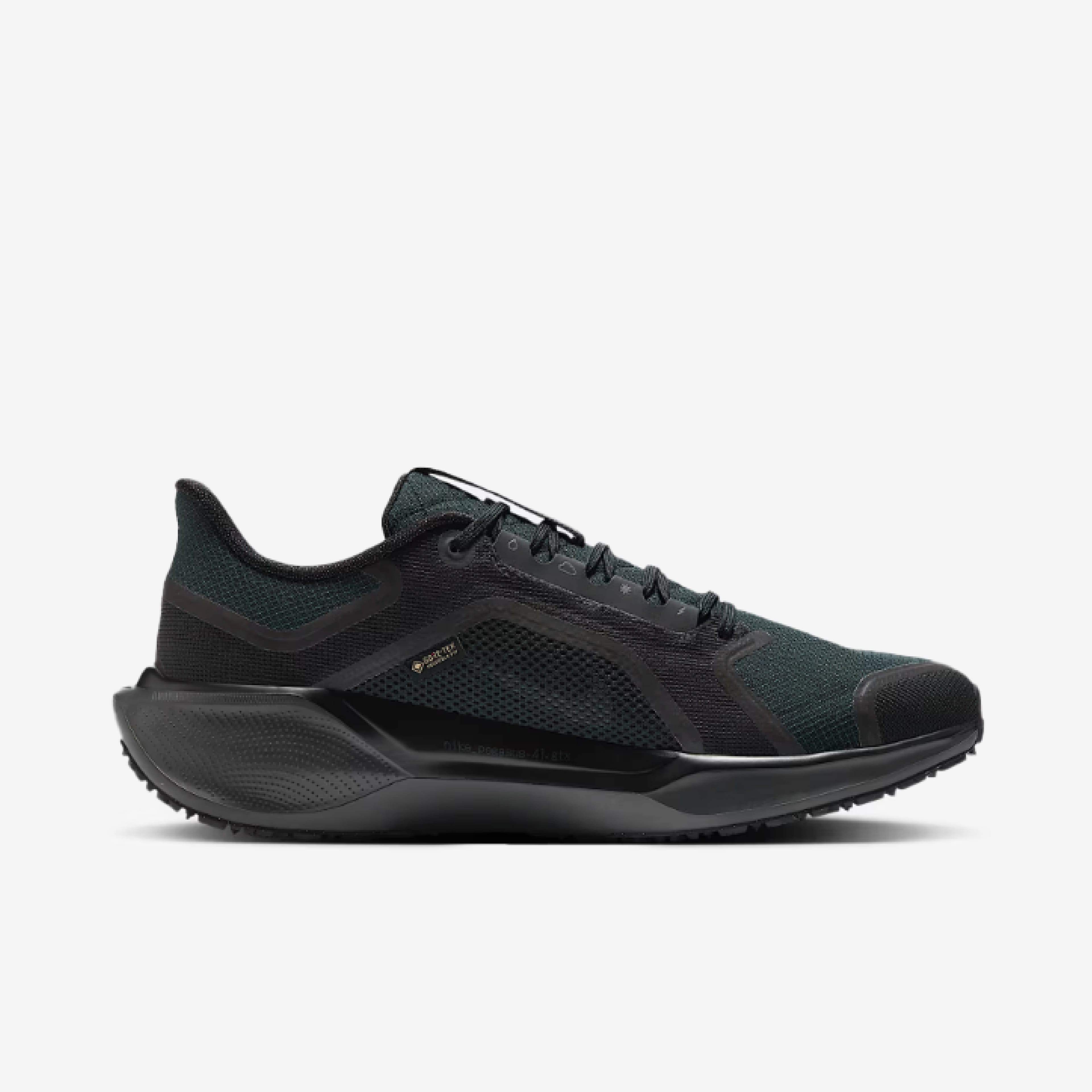 Nike Air Zoom Pegasus 41 Gore-Tex Black