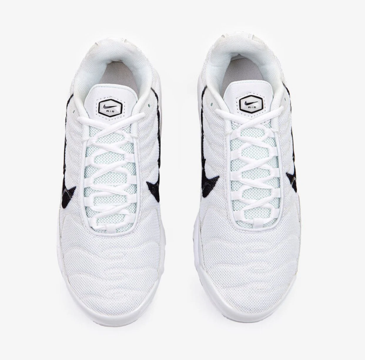 Nike Air Max Plus Double Swoosh