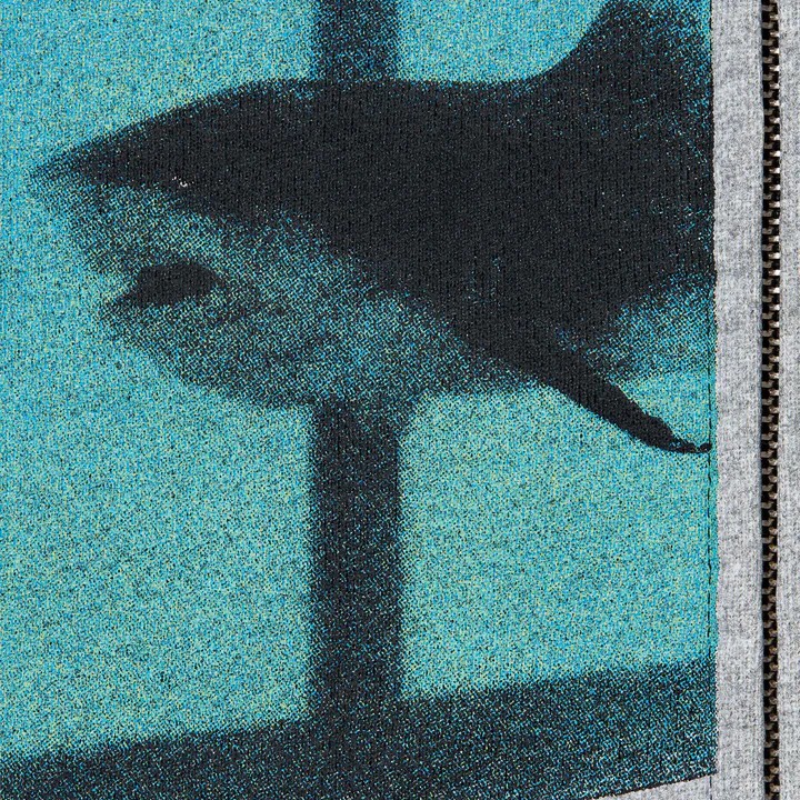Supreme x Damien Hirst Zip Up Hooded Sweatshirt