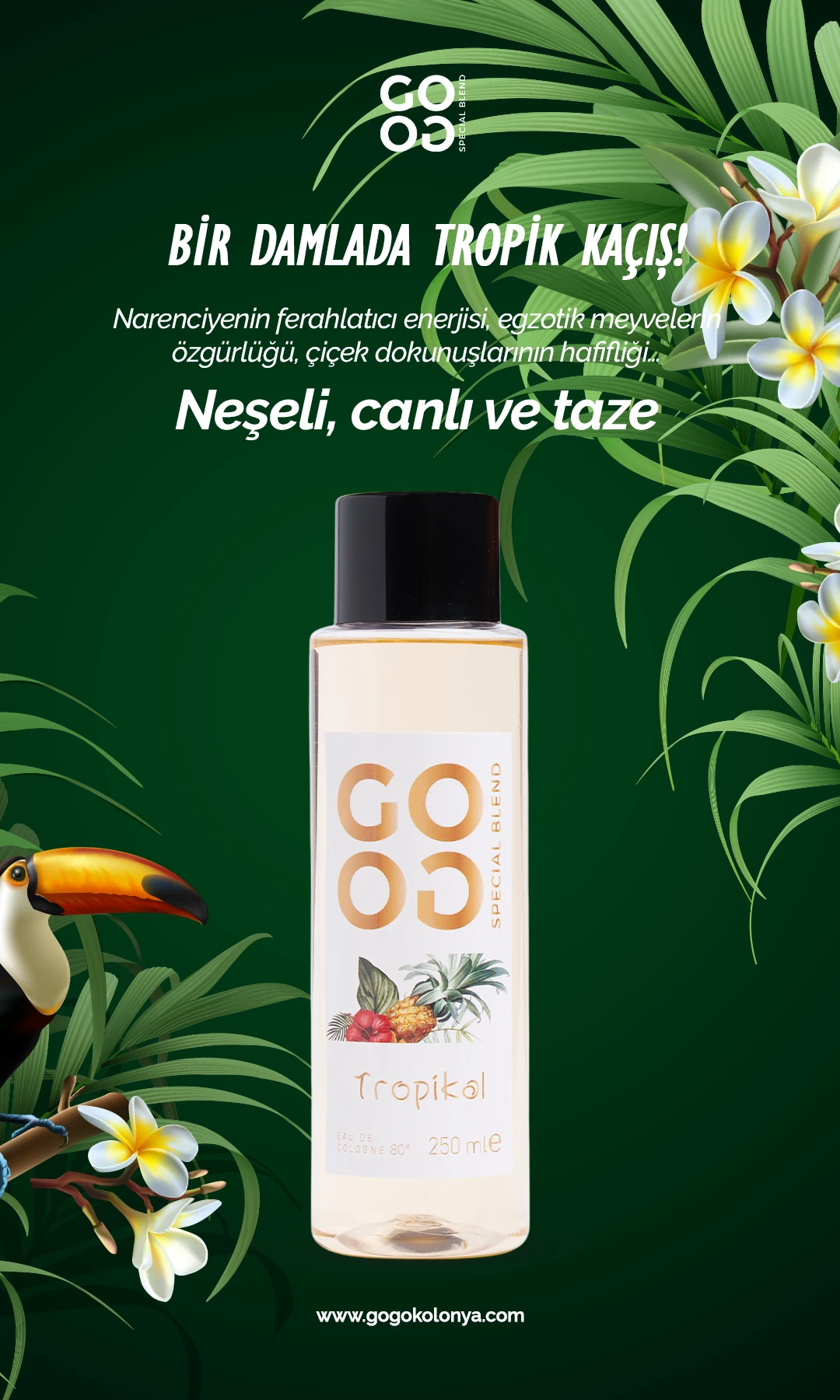 Gogo Tropikal Kolonya 250ml Pet Şişe