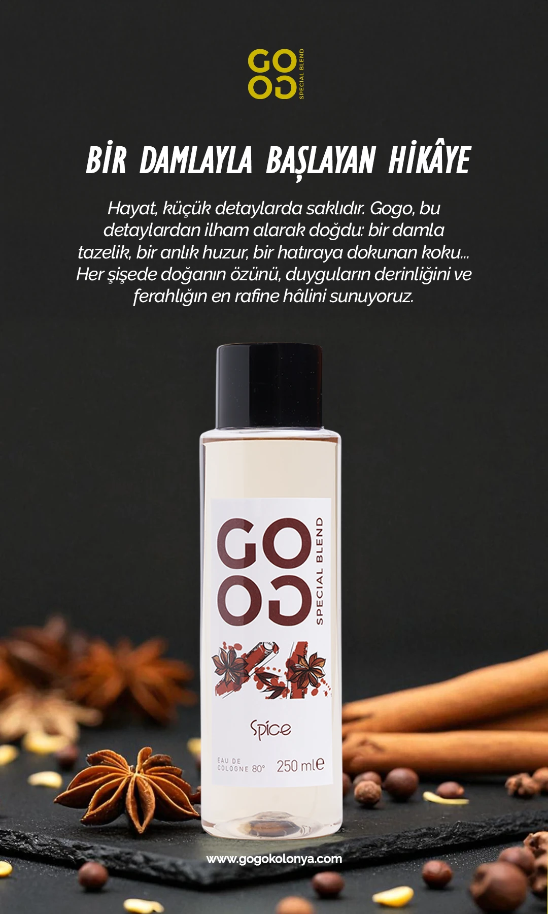 Gogo Spice Kolonya 250ml Plastik Şişe - 20 Adet
