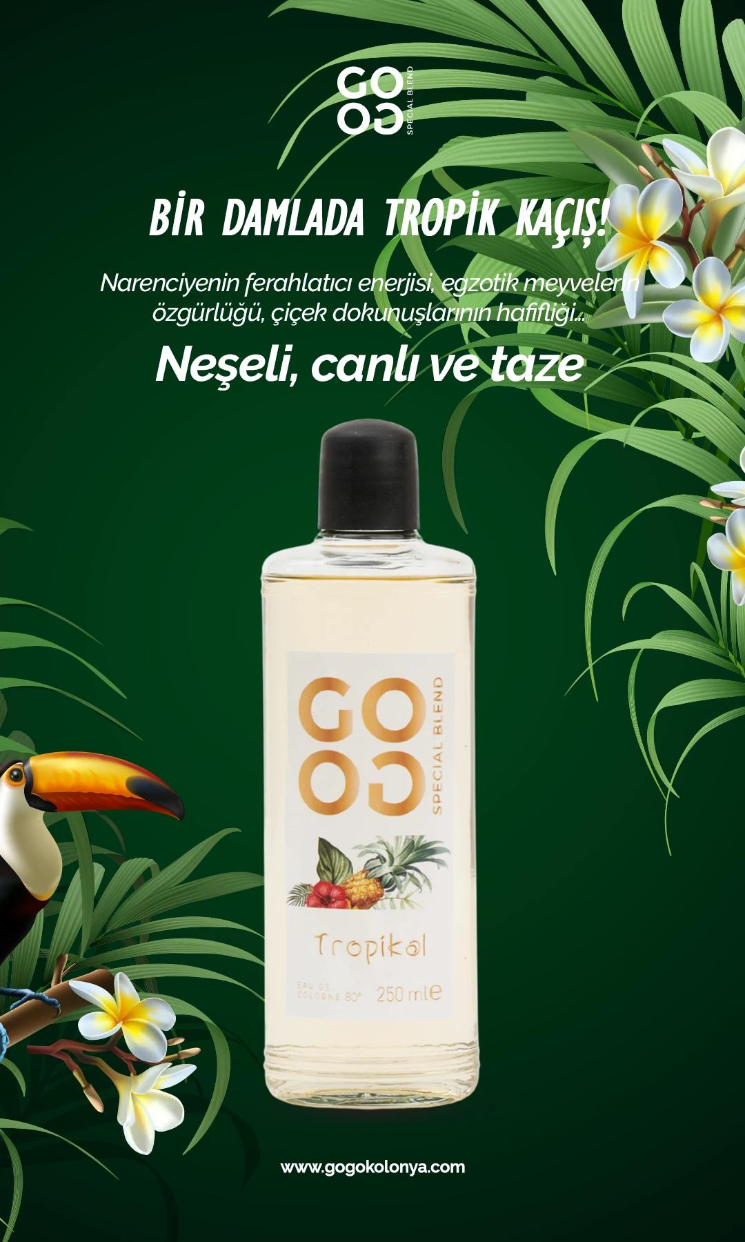 Gogo Tropikal Kolonya 250ml Cam Şişe - 15 Adet