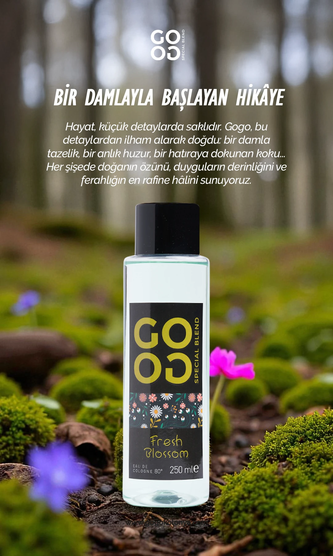 Gogo Fresh Blossom Kolonya 250ml Pet Şişe