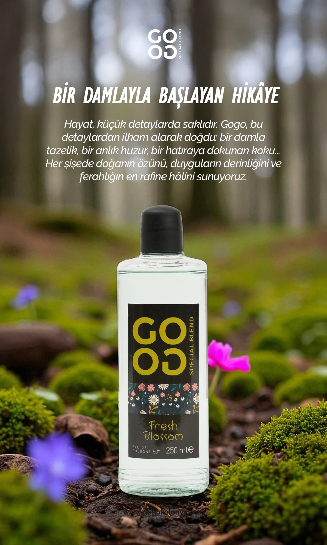 Gogo Fresh Blossom Kolonya 250ml Cam Şişe - 15 Adet