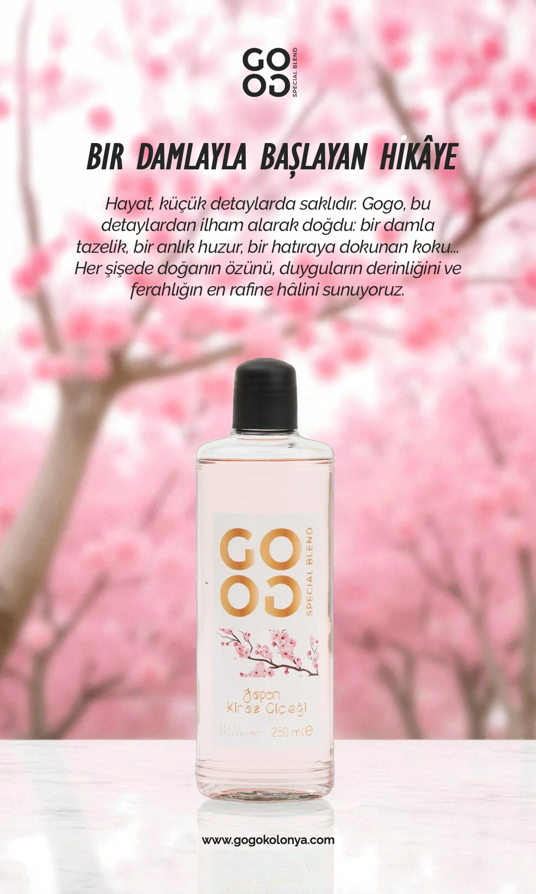 Gogo Japon Kiraz Çiçeği Kolonya 250ml Cam Şişe - 15 Adet