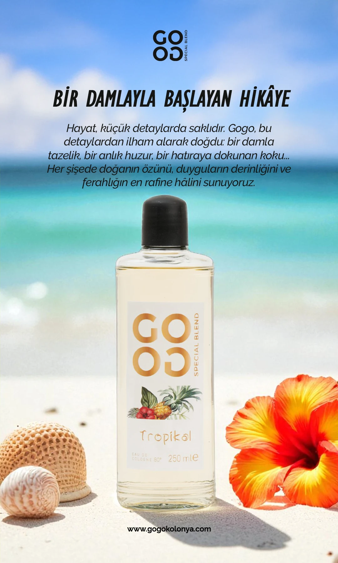 Gogo Tropikal Kolonya 250ml Cam Şişe - 15 Adet